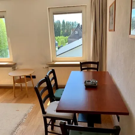 Vakantiehuis Lodge, Nahe Am Skigebiet, 8 Baeder, 2 Kuechen Winterberg