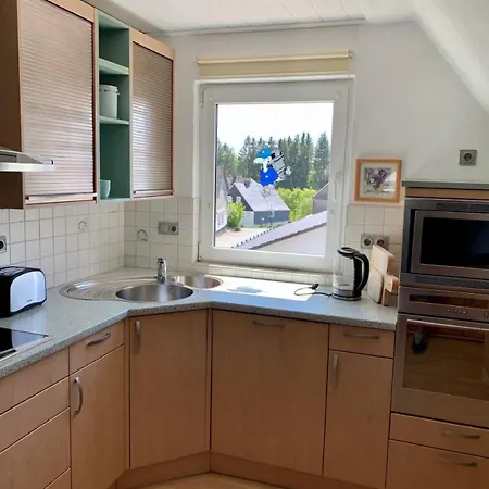 Lodge, Nahe Am Skigebiet, 8 Baeder, 2 Kuechen * Winterberg
